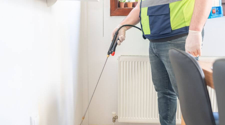 Professional 24 hour pest control services in Sierra Madre